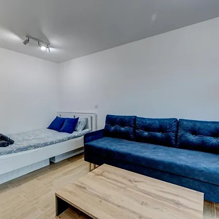 Kobalt - Urzad Miasta Ii *