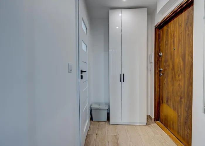 Kobalt - Urzad Miasta Ii *